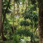 LS 82620: GLOBAL CLIMATE, LOCAL IMPACT AND ACTION