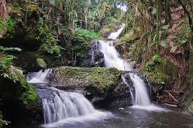 LS 82621: EARTH’S SYSTEMS IN MY AHUPUAʻA