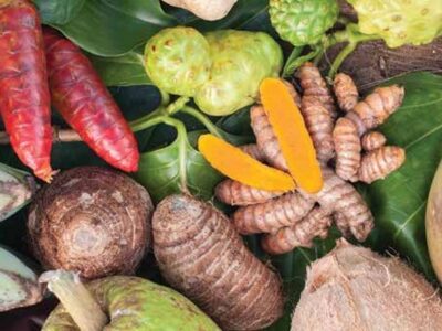 83686: (Invitation Only): GROWING TOGETHER WITH HAWAIʻI’S NATIVE AND CANOE PLANTS